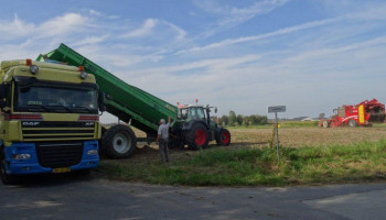 Hoe beïnvloeden de lage prijzen het rooigedrag van aardappeltelers?
