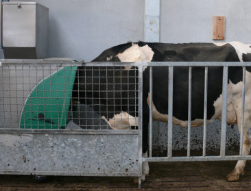 Derde minder methaanuitstoot per liter melk haalbaar