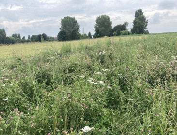 Brouns verhoogt budget voor jonge landbouwers en ecoregelingen