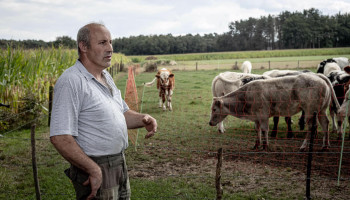 Dit was 2021: de definitieve comeback van de wolf