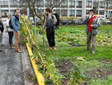 Benelux-landen denken in Gent na over transitie