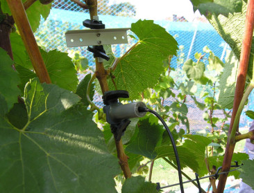 Luisteren naar het geluid van gewassen in watersnood