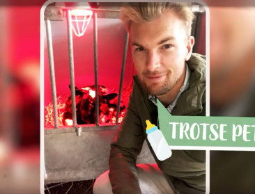 Zes bekende Vlamingen worden boer(in) voor één dag