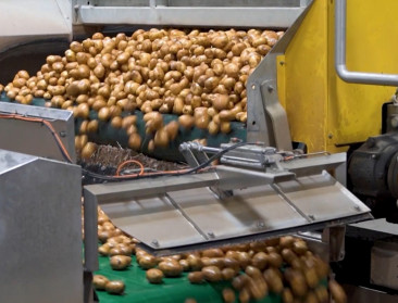 FOD Economie start onderzoek naar mistoestanden met aardappelcontracten
