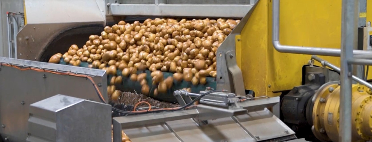 aardappelverwerkingAgristo