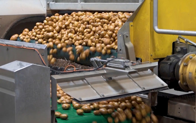 Clarebout in Amerikaanse handen na historische frietdeal met JR Simplot