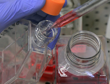 Lavetan één van de fabrieken van de toekomst