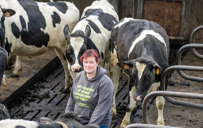 Openbaar onderzoek MAP7: Laatste boeren dienen bezwaar in