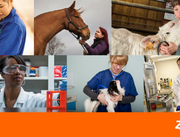 Maakte diergezondheidsbedrijf Zoetis zich schuldig aan machtsmisbruik?