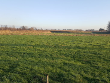 Waterwegbeheerder verdedigt renovatie van Potpolder IV
