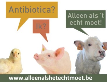Opmars ESBL-bacterie stelt antibiotica-aanpak in vraag