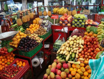 Boorvliegjes zetten handelsverkeer op zijn kop