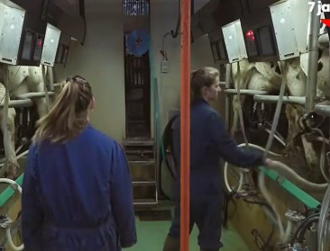 Brengt ‘Boerenjaar’ boer en burger dichter bij elkaar?