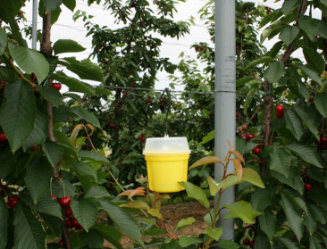 Nieuw Europees voorstel mikt op efficiëntere toelating voor gewasbescherming