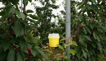 Nieuw Europees voorstel mikt op efficiëntere toelating voor gewasbescherming