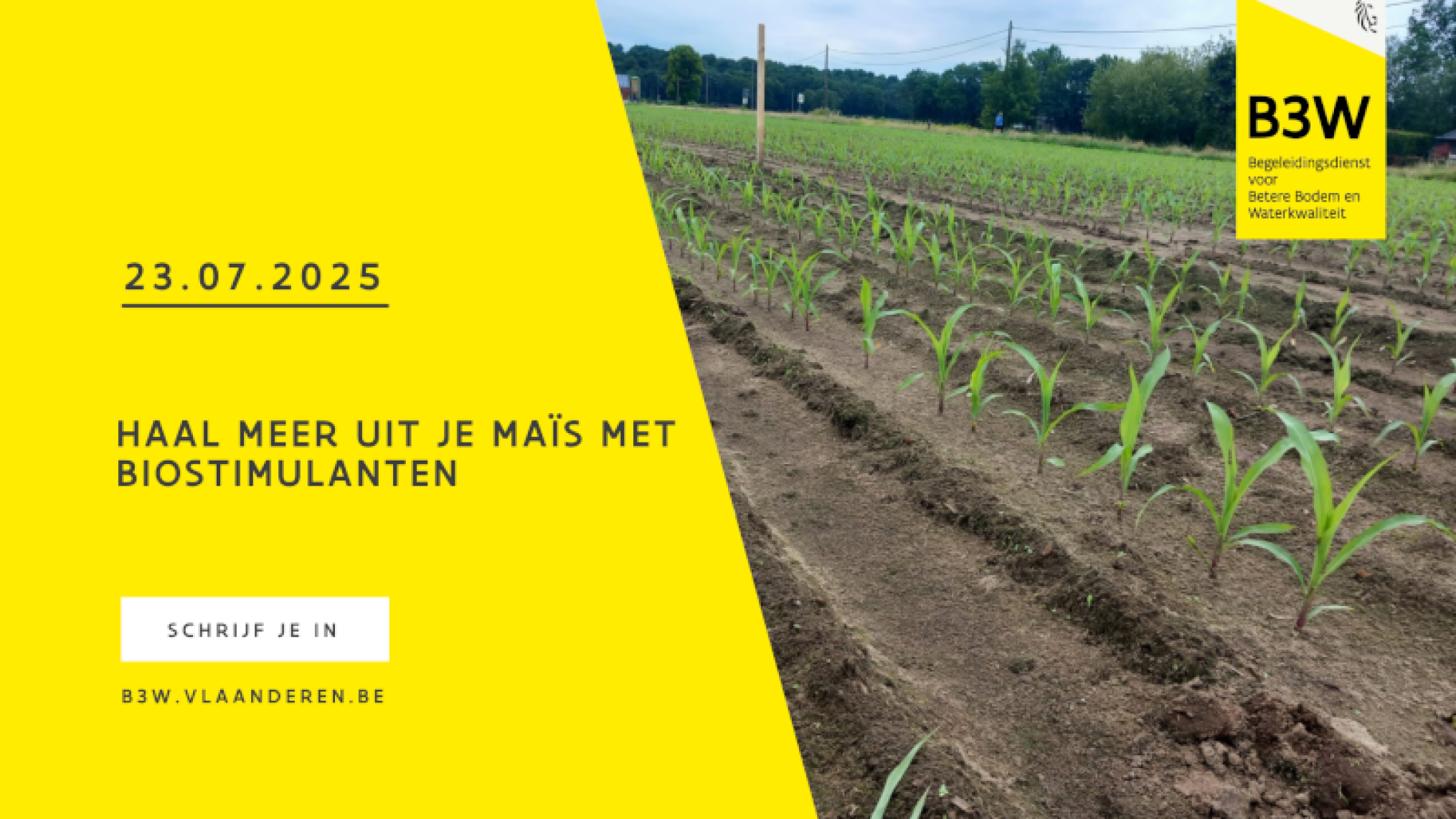 Thematisch uitwisselingsmoment: Haal meer uit je maïs met biostimulanten
