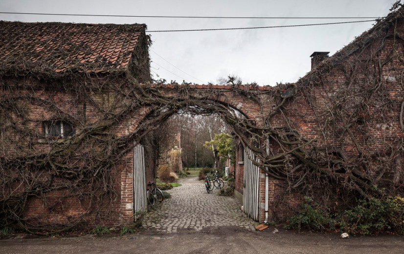Vorig jaar zijn 561 Vlamingen een landbouwactiviteit gestart
