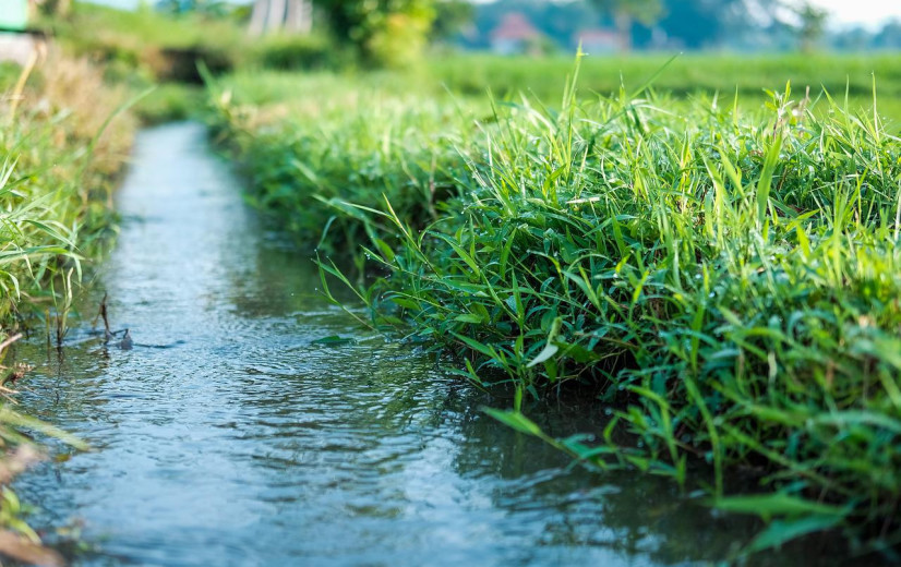 Prof Bruyninckx moet draagvlak voor Vlaamse waterbeleid helpen versterken