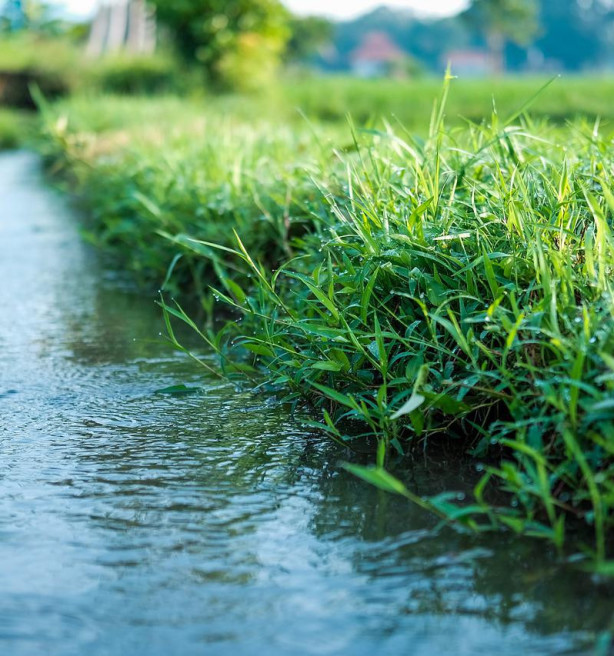 Nitraatgehalte in oppervlaktewater op laagste peil ooit: “Inspanningen van landbouwers werpen vruchten af”