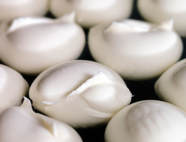 FrieslandCampina neemt mozzarellamaker Fabrelac over