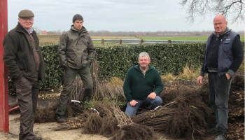 Vlaamse jagers planten ruim 20.000 bomen en hagen
