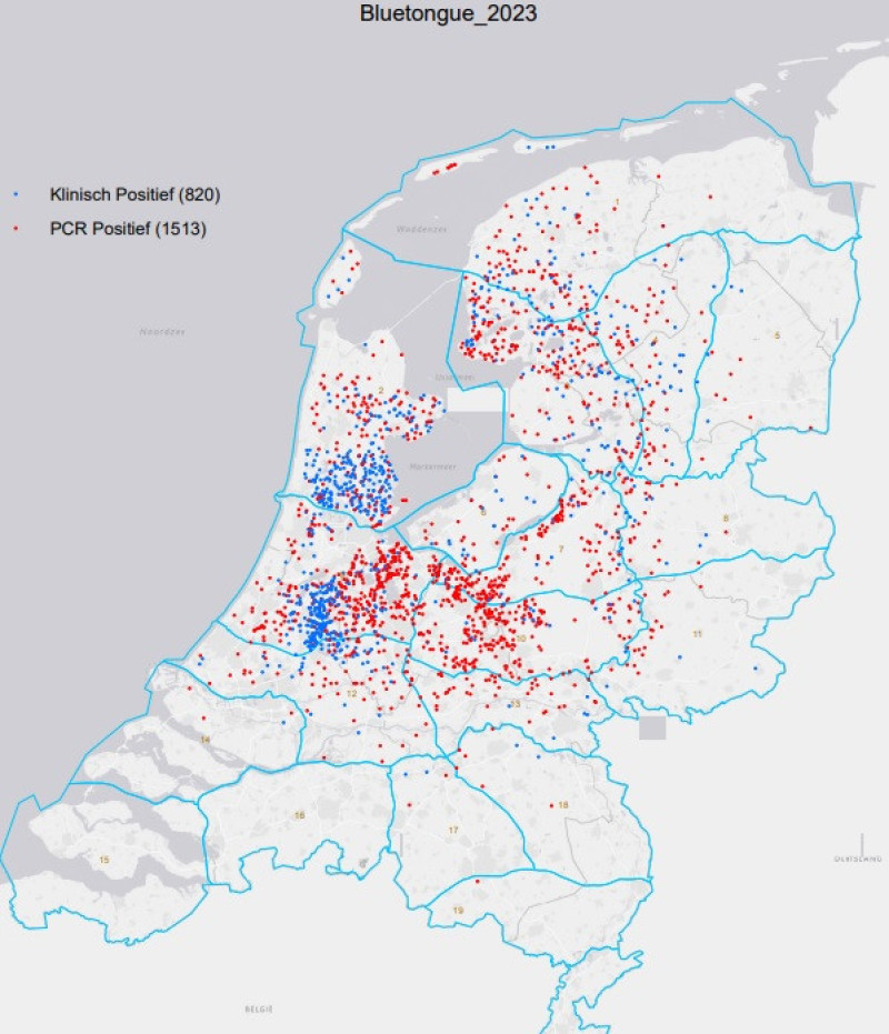 Blauwtong Nederland