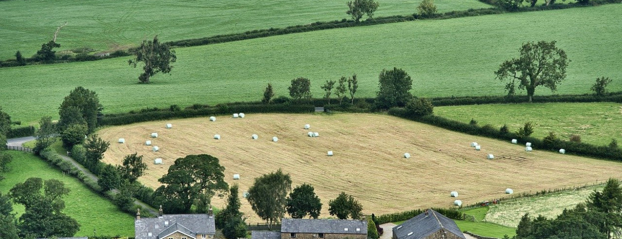 landbouw bedrijf boerderij