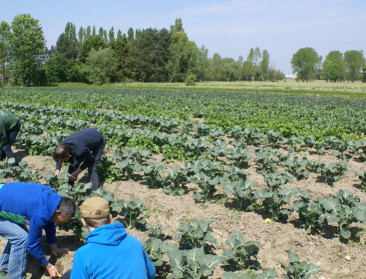 Vaccinatievoorrang voor medewerkers van zorgboerderijen
