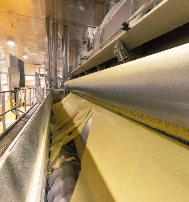 Clarebout pauzeert productielijn in Nieuwkerke: wat betekent dit voor de toekomst?