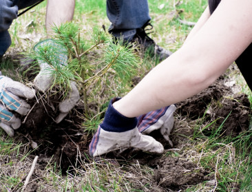 Natuurpunt dient klacht in tegen guerrilla-foresters