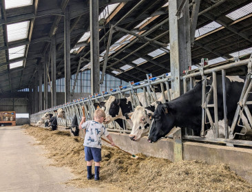 Weyts versterkt lessen over dierenwelzijn in het onderwijs