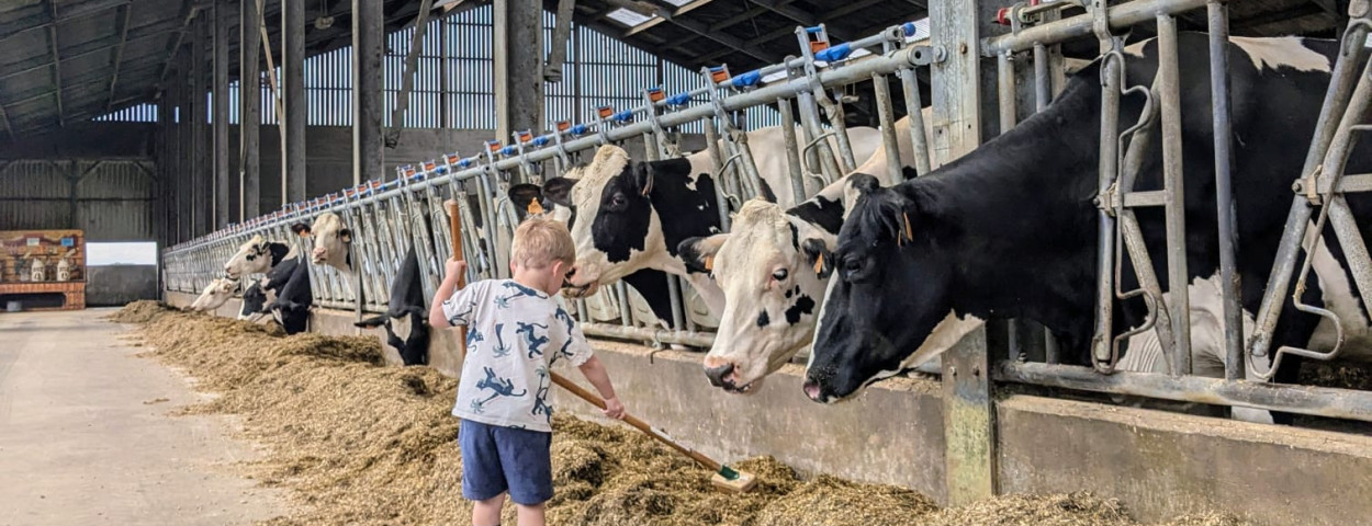 Jozefien kind boerderij koe stal