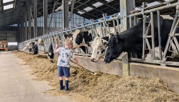 Weyts versterkt lessen over dierenwelzijn in het onderwijs