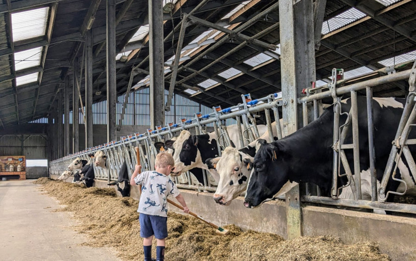 Weyts versterkt lessen over dierenwelzijn in het onderwijs
