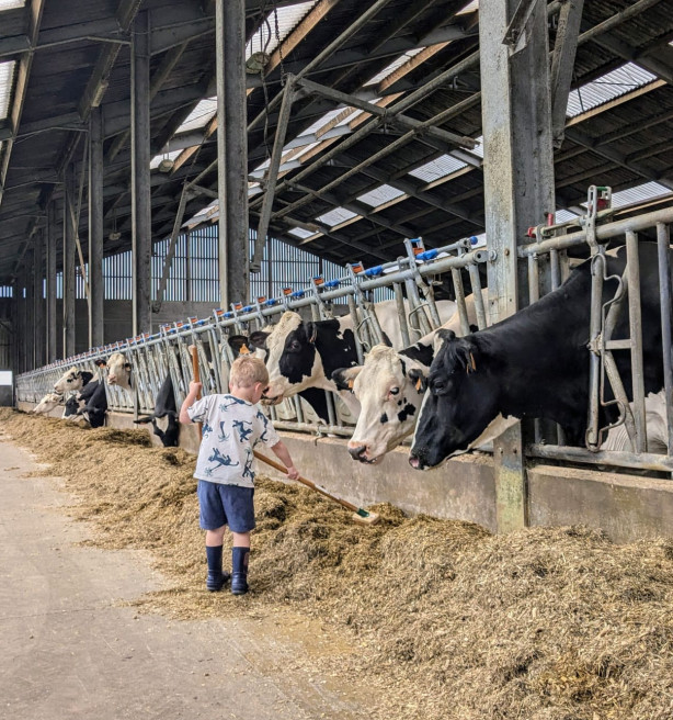 Provincie Antwerpen stopt met subsidies aan Boeren op een Kruispunt
