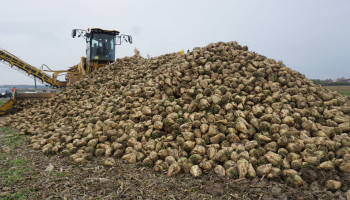 Weer een grote Europese suikerfabriek dicht