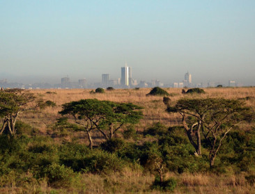 VLAM informeert exporteurs over marktpotentieel Afrika