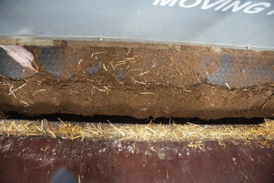 mest wordt met mooving floor stal stelselmatig, direct afgevoerd