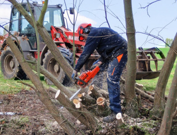 “Houtsnippers verrijken bodem”