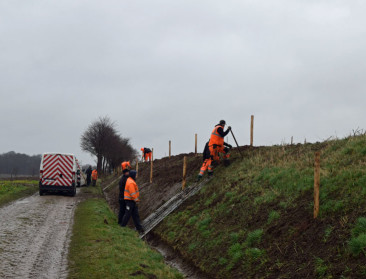 Struiken in taluds beschermen Wommersom tegen erosie