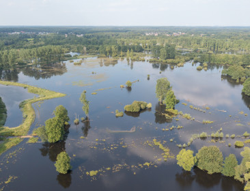 VITO: "Elke euro geïnvesteerd in natuurherstel levert er acht op"