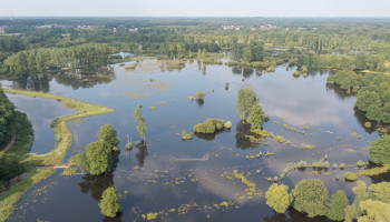 VITO: "Elke euro geïnvesteerd in natuurherstel levert er acht op"