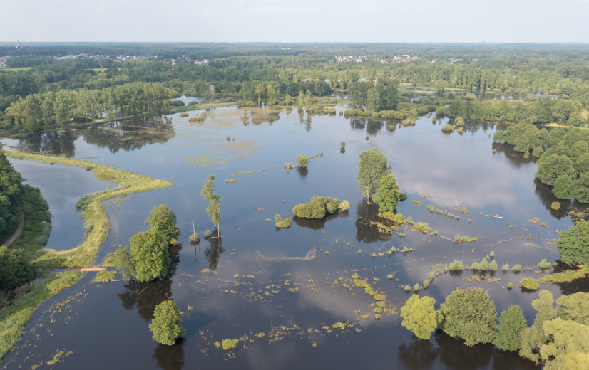 VITO: "Elke euro geïnvesteerd in natuurherstel levert er acht op"