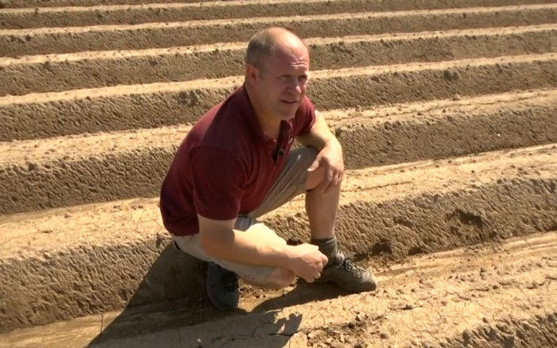 droogte maarten lemaire