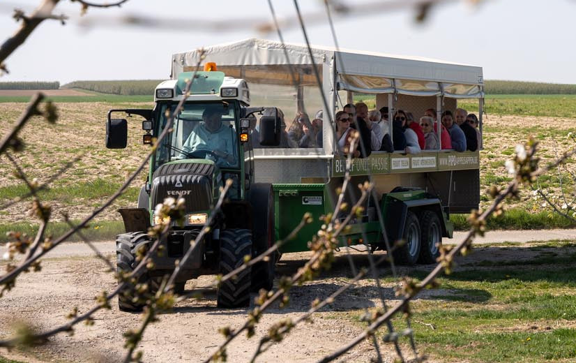 Limburgse fruitteler zet trend met sapverwerking en bloesemtoerisme