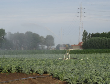 Vlaamse Waterweg waarschuwt voor blauwalgen 