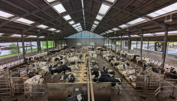 Milieuorganisaties vechten emissiearme technieken aan bij Grondwettelijk Hof