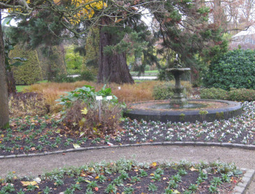 Milieubeweging wil meewerken aan actieplannen gemeenten