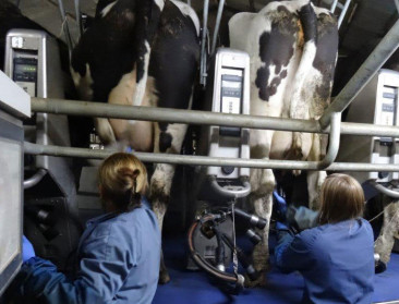 563 meewerkende echtgenoten in landbouw kregen eigen pensioen in 2023 en 2024