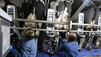 563 meewerkende echtgenoten in landbouw kregen eigen pensioen in 2023 en 2024